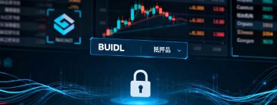 【行业动态】贝莱德BUIDL基金登陆BNB链并成为币安机构抵押品，RWA赛道迎来里程碑